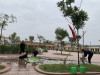 Trường TH Liên Châu đã thực hiện công tác vệ sinh trường học trước khi nghỉ tết Nguyên đán.